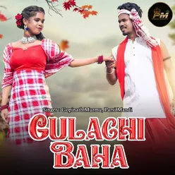 Gulachi Baha